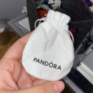 Pandora gift pouch